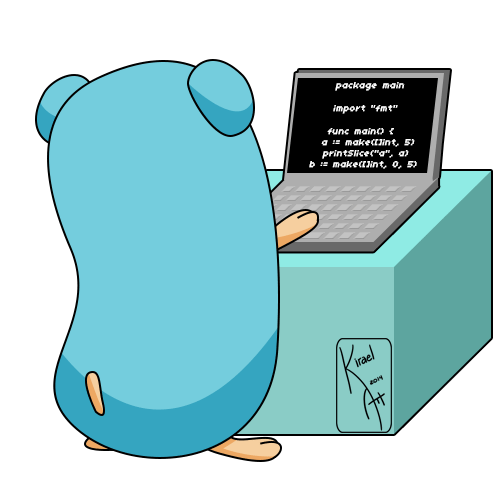 Cover Image for Start on your first Golang project